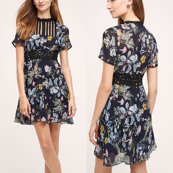 Anthropologie Dresses & Skirts - Anthropologie Foxiedox Farfara Dress